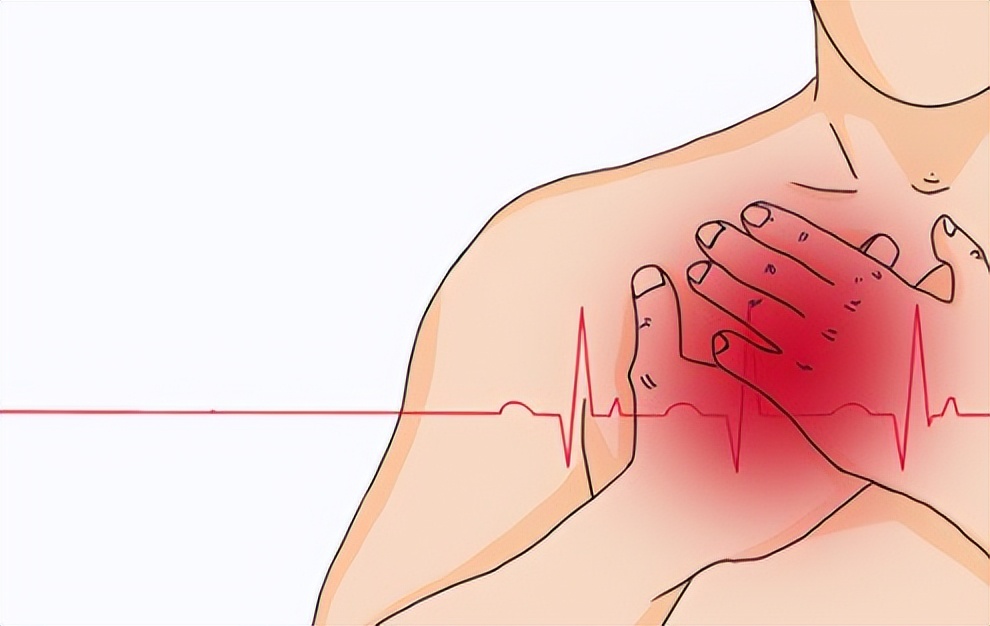 心跳快与心跳慢哪种寿命长,心跳快慢和长寿