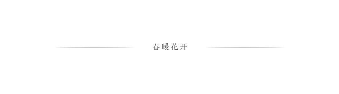 企业核心价值观解读简单,企业核心价值观的解读