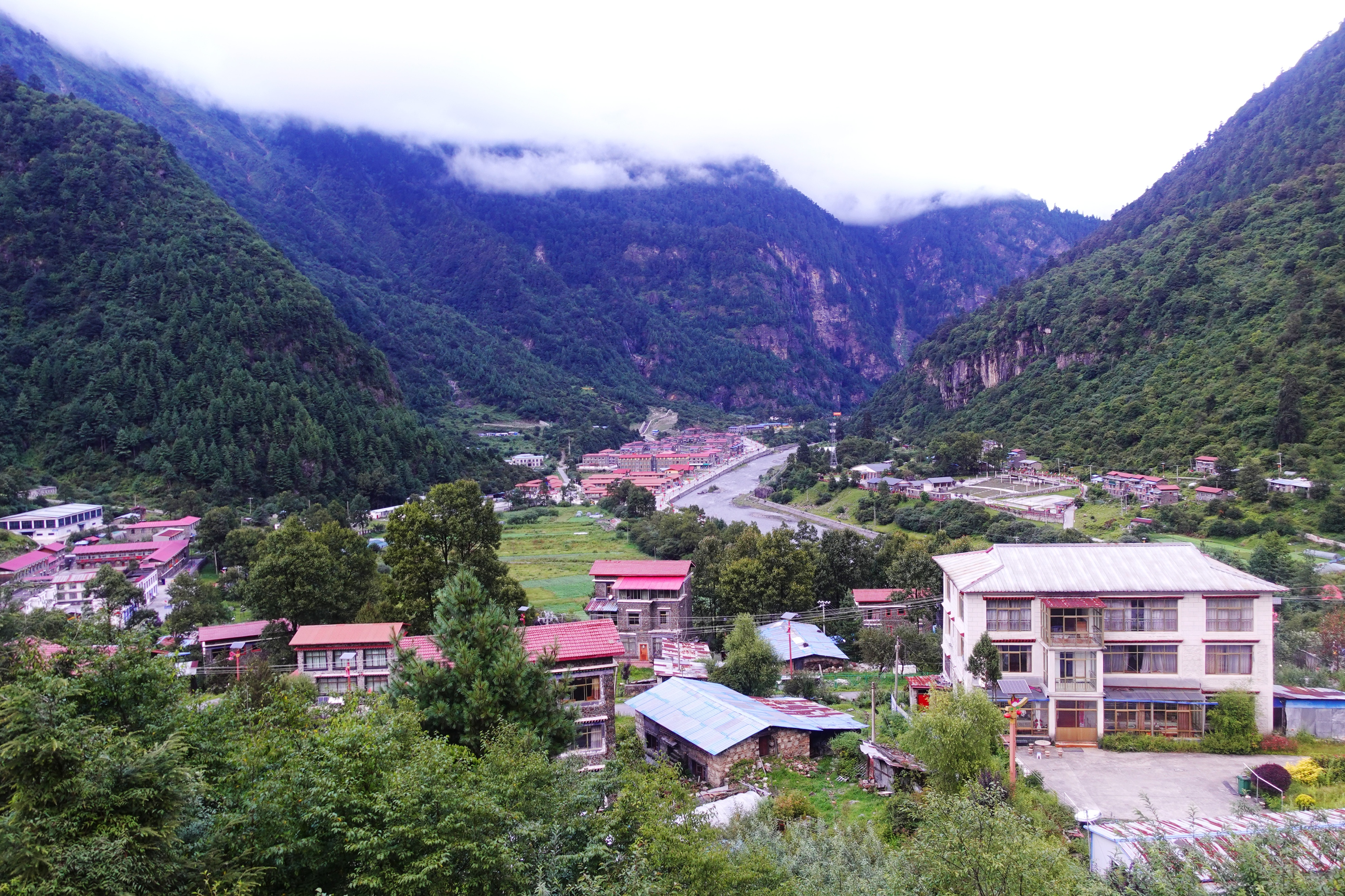 云南最高海拔的茶叶,海拔最高的茶叶产地在哪里