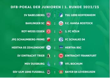 2023-2024德乙各队巡礼,2023德乙巡礼