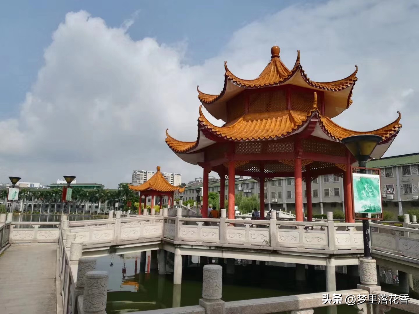 水上公园莲花开了吗,推荐一个好地方东湖公园