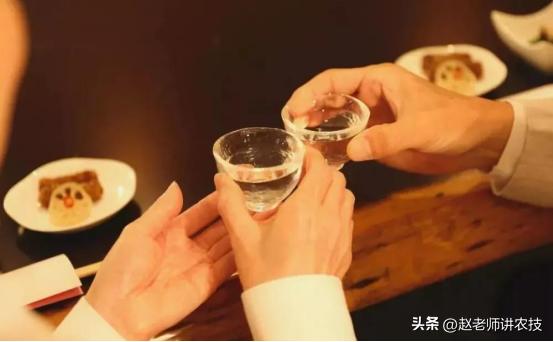 划拳说的五魁首八匹马是什么意思,五魁首八匹马你知道是什么意思吗