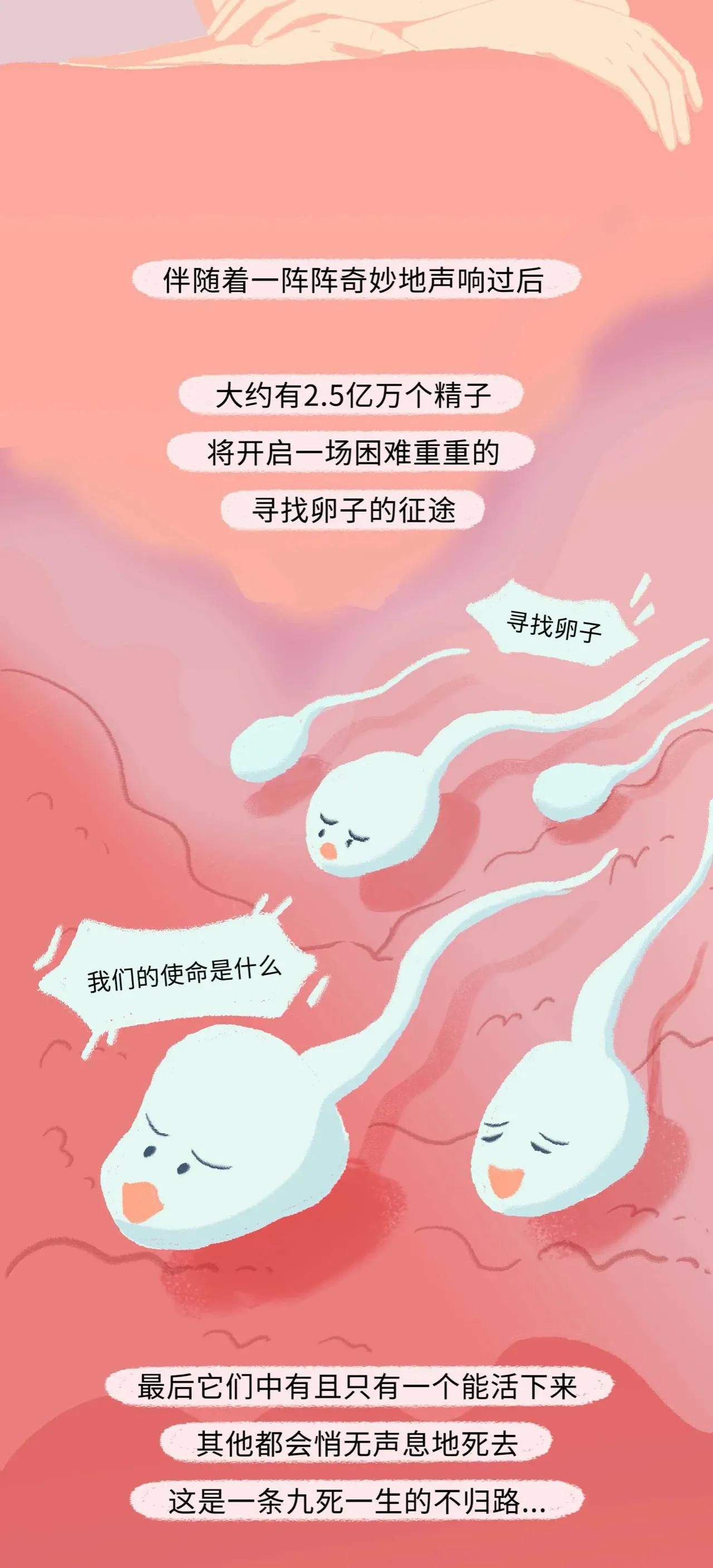 精子进入女生体内的全过程