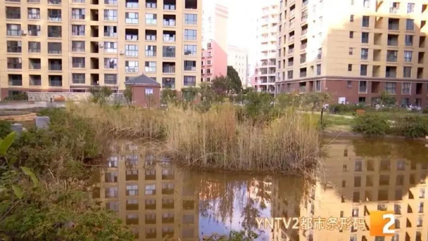 五华区重建项目,昆明首例破产重整成功的案例