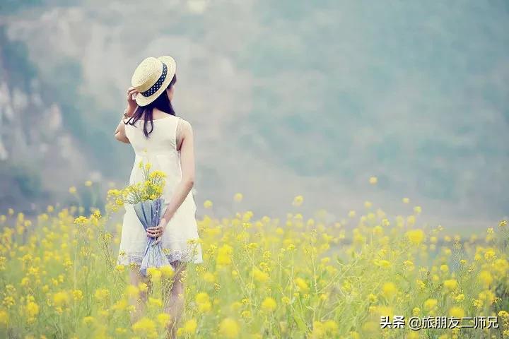 广州花都梯田油菜花,广州徒步赏油菜花路线