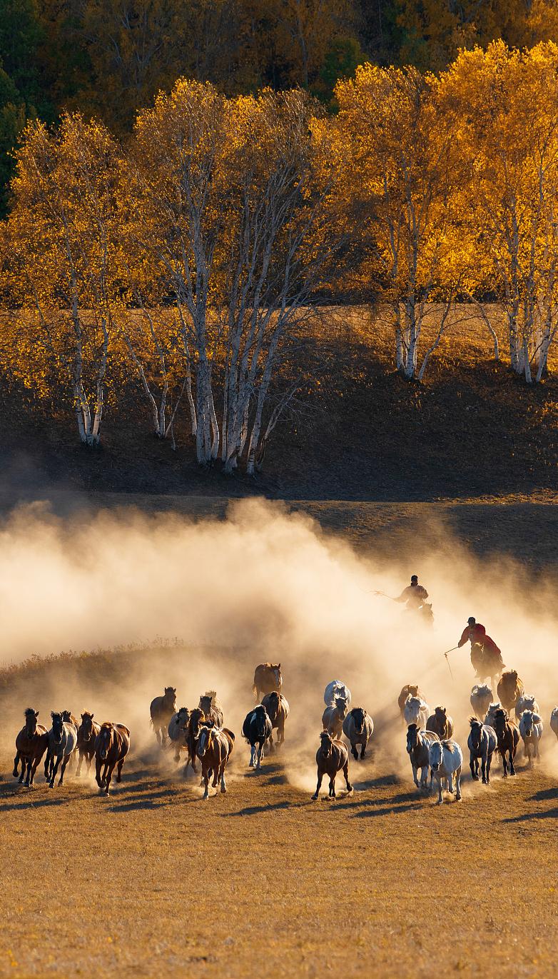 <html>
<head><title>502BadGateway</title></head>
<body>
<center><h1>502BadGateway</h1></center>
<hr><center>nginx</center>
</body>
</html>
<!--apaddingtodisableMSIEandChromefriendlyerrorpage-->
<!--apaddingtodisableMSIEandChromefriendlyerrorpage-->
<!--apaddingtodisableMSIEandChromefriendlyerrorpage-->
<!--apaddingtodisableMSIEandChromefriendlyerrorpage-->
<!--apaddingtodisableMSIEandChromefriendlyerrorpage-->
<!--apaddingtodisableMSIEandChromefriendlyerrorpage-->
