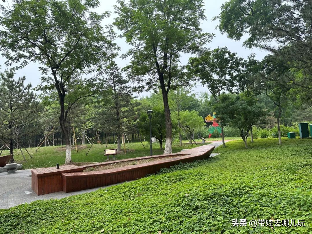 可搭帐篷公园,可以骑车搭帐篷的公园