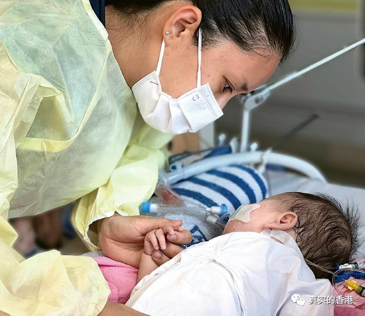 香港女婴移植内地,香港女婴