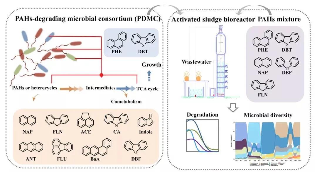 知耕快报｜高GABA基因编辑番茄日本上市；植物工厂种植可可树