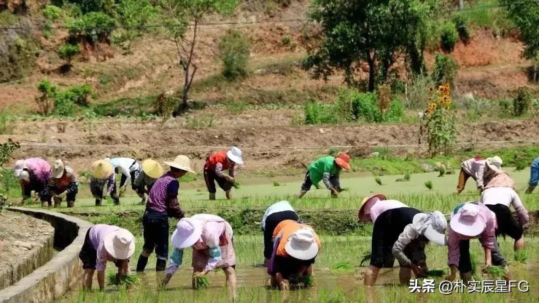 农民致富的出路在什么地方,新形式下农民如何增收致富