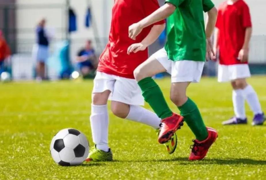 法律科普违约责任,法律知识误伤有什么赔偿