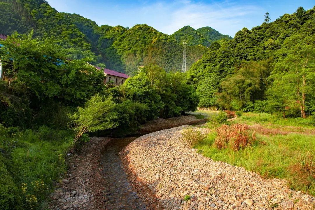 150元一斤，被叫做“天上人参”，被蛰很危险，却很好吃