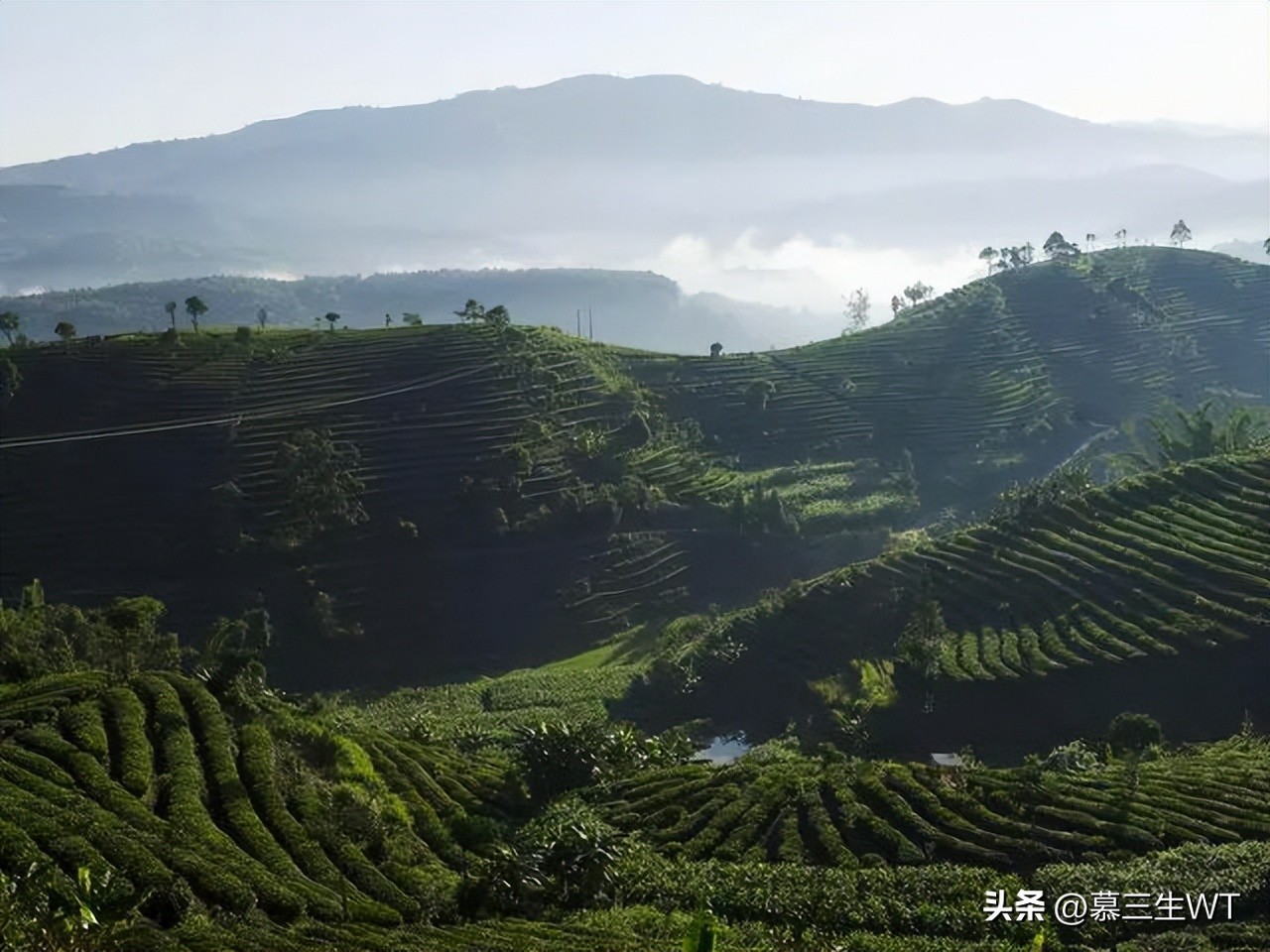 上海周边四大古镇景点推荐一下,五一出游好去处上海古镇