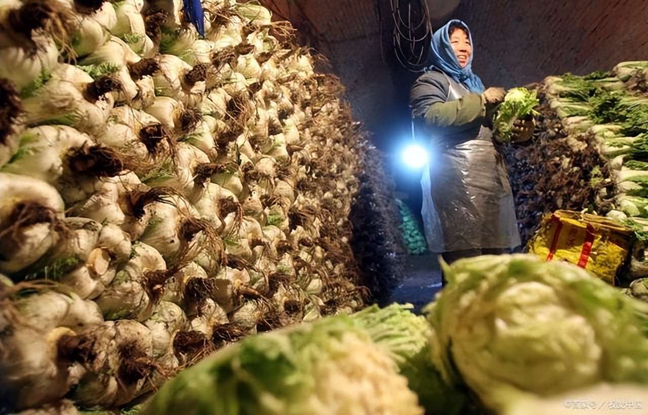 东北的大早市有多好逛,没逛过东北早市的东北人
