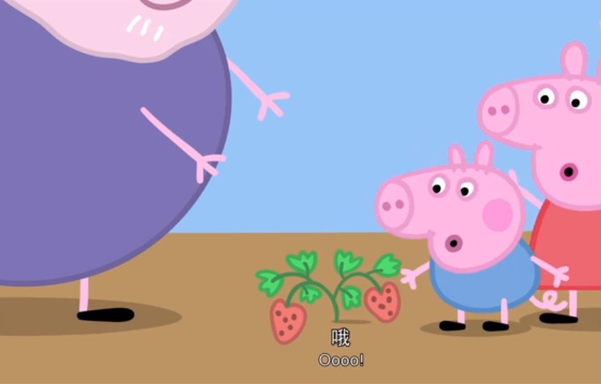 跟小猪佩奇学英语绘本,小猪佩奇小红帽剧本台词完整版