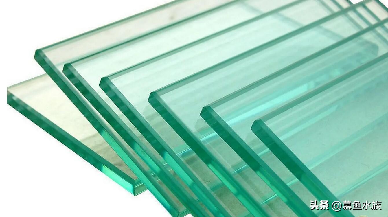 新手养鱼如何选鱼缸,新手养鱼怎样选择小鱼缸