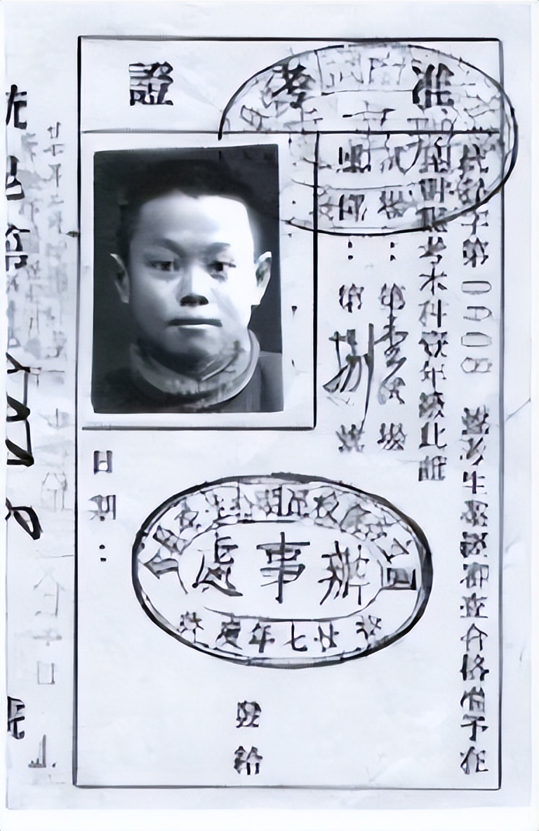 杨振宁我的学习之路,杨振宁我的学习与研究经历