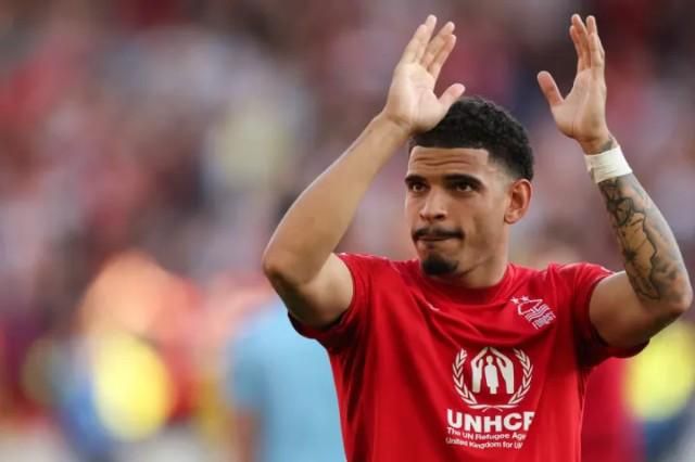 2019英超最佳引援,23-24赛季英超最佳引援