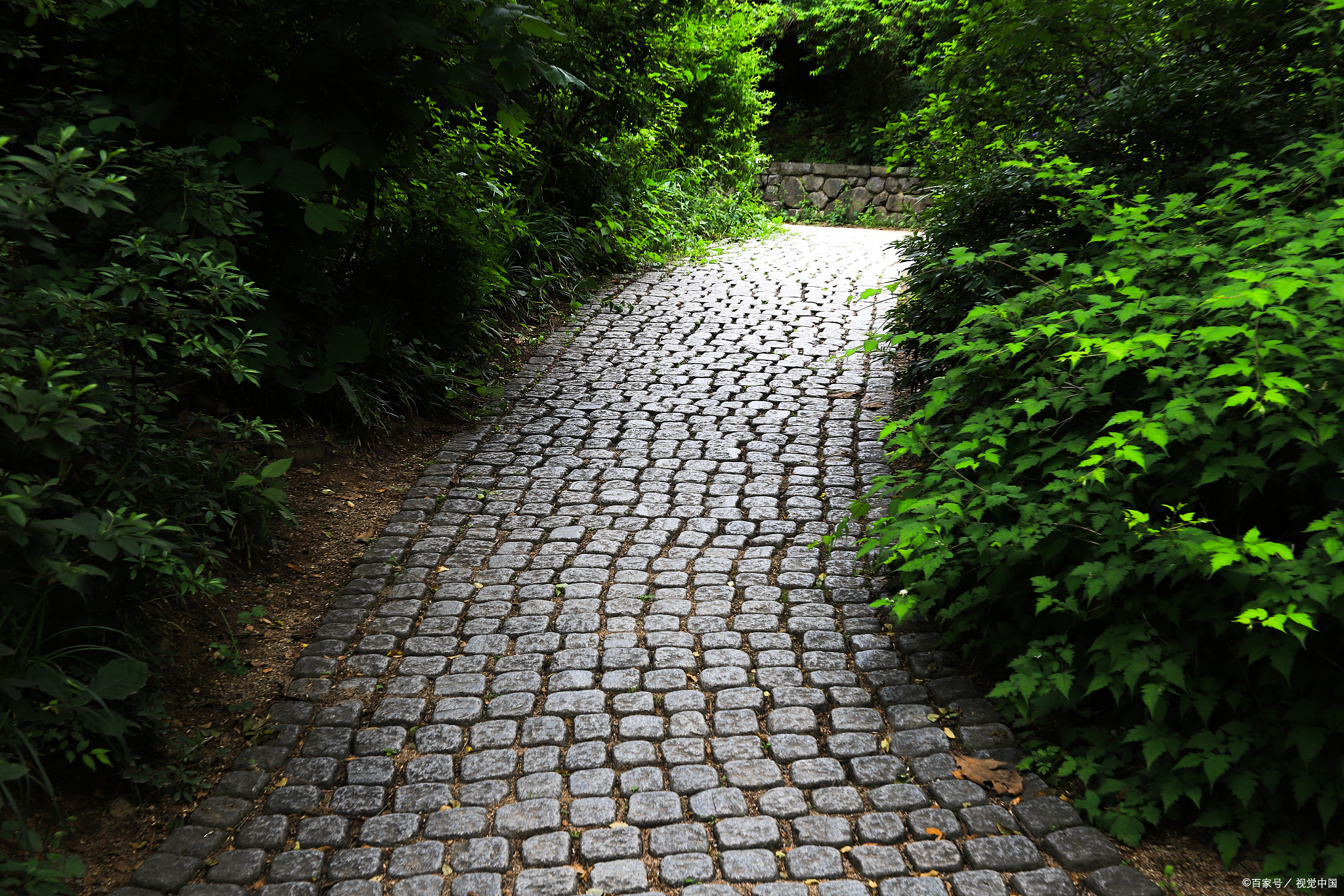苏州园区美食攻略必去的景点,苏州旅游景点推荐美食