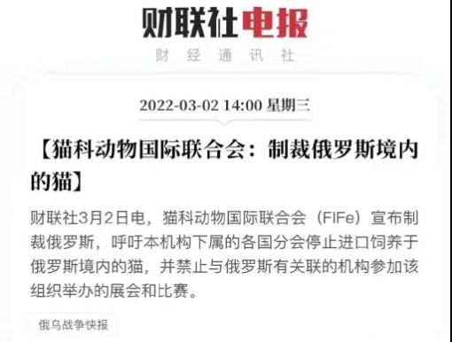 足球高于谁的生死？论对俄制裁殃及俄罗斯球员