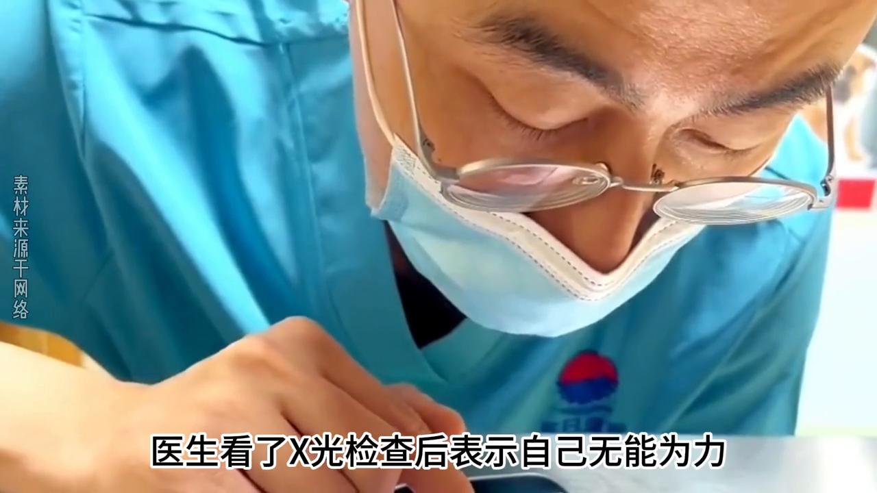 狗狗头上破了长了个大肉瘤,狗狗腿上长了肿瘤被主人抛弃