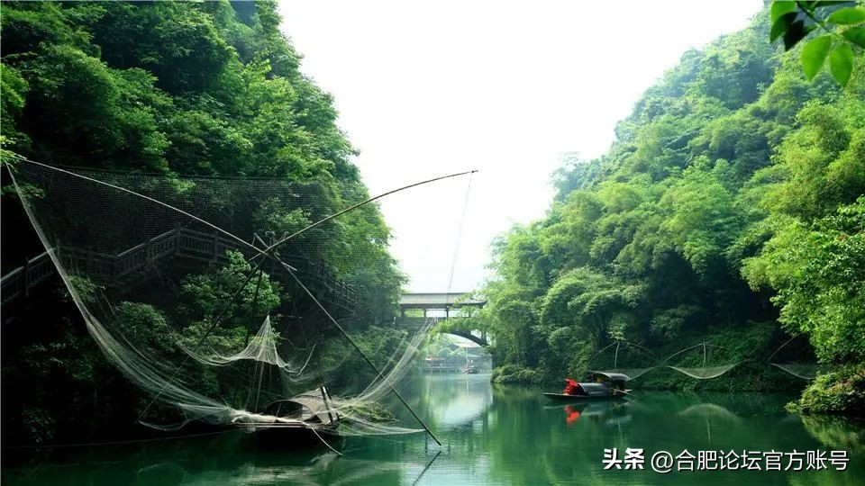 十一月合肥去哪里的机票最便宜,今年11月合肥特价机票