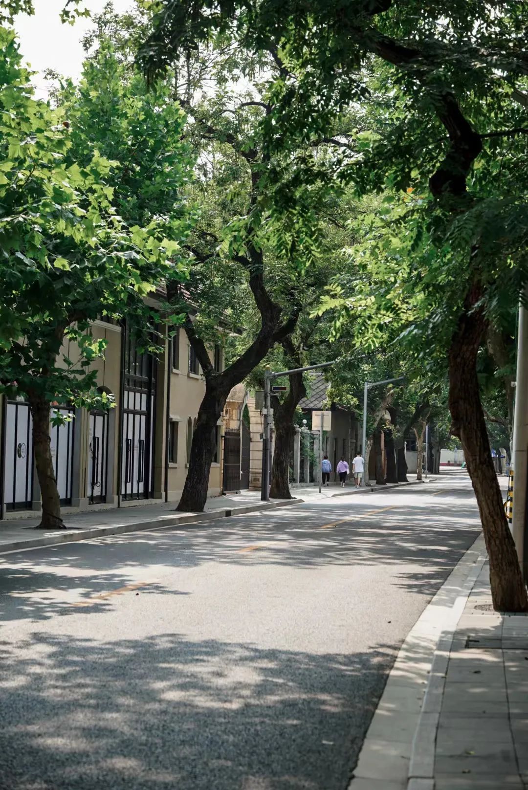 aesop上海首店,aesop上海专柜