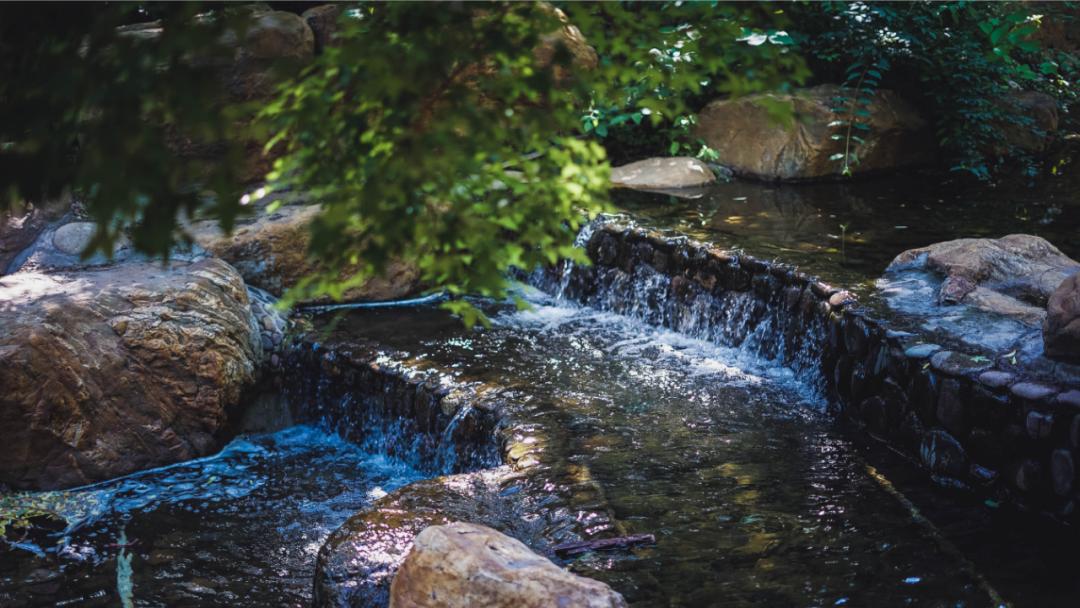 迭新什么意思,迭新是什么意思