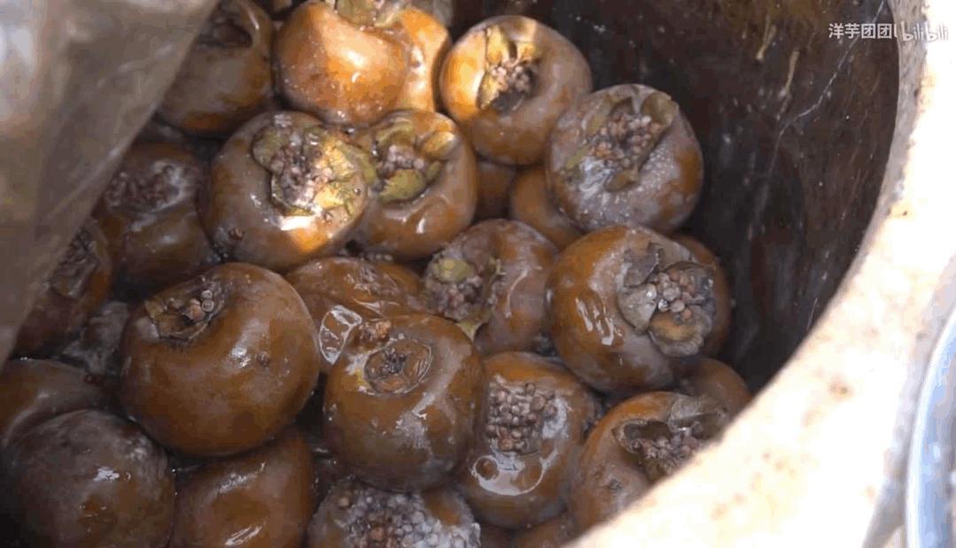 甘肃人一年四季都吃面为什么不胖,甘肃吃米还是面