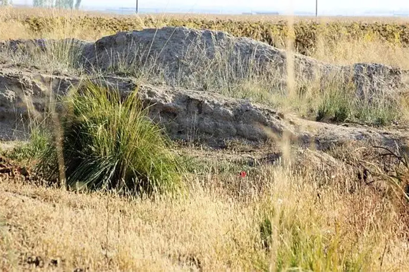 南北朝时期的河套平原,沃野镇古城遗址