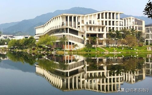 学科实力强劲,学科实力