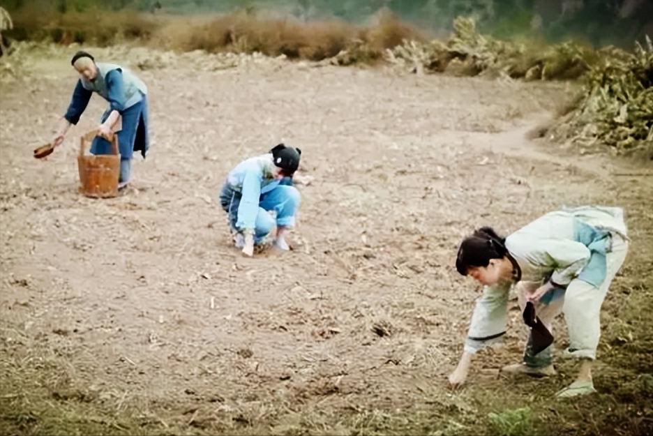 杨玉环容貌复原图像谁,杨玉环真人长相复原图