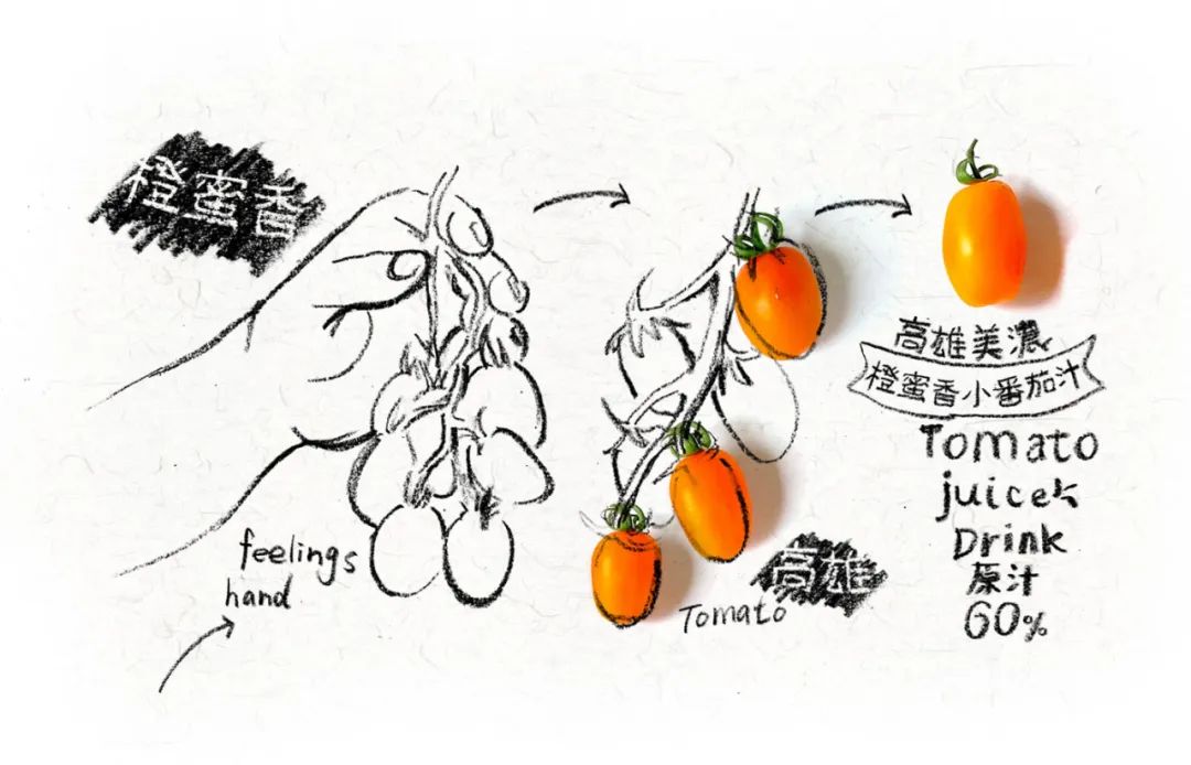 区域品牌农产品包装设计,农产品包装设计创意点