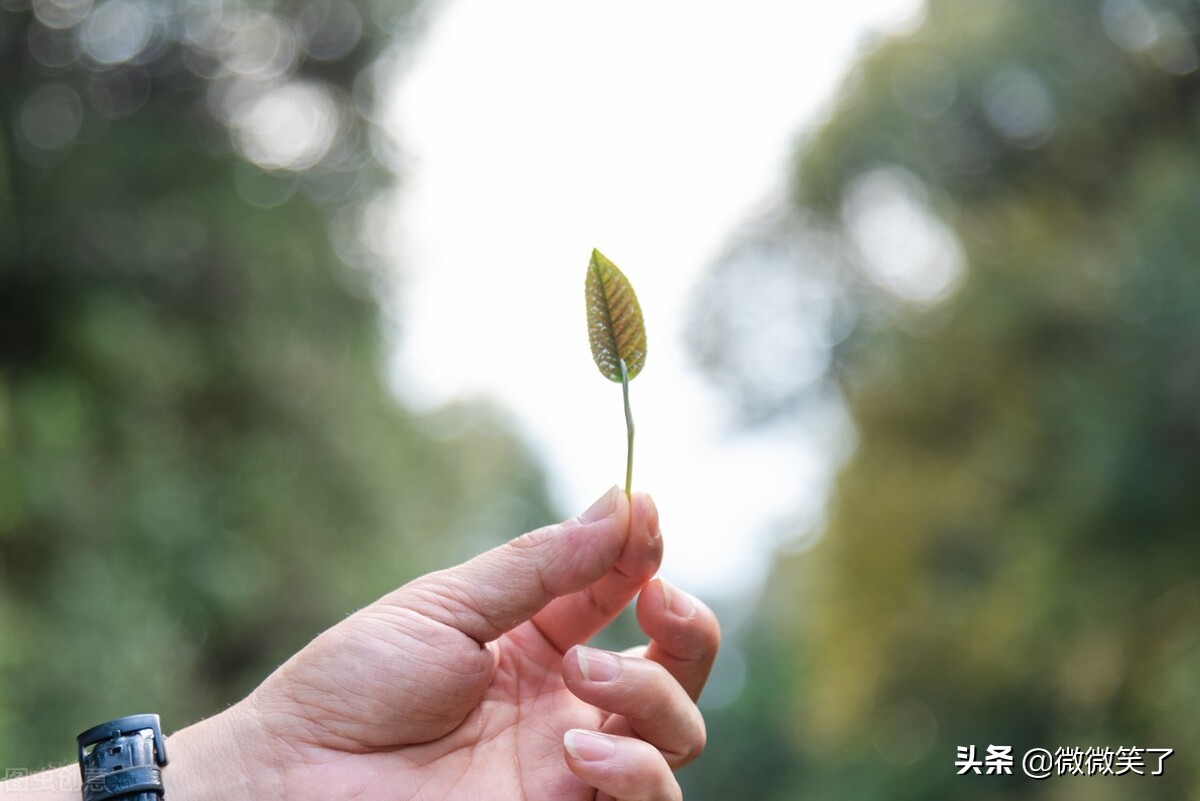 夫妻吵架如何越吵越恩爱,夫妻吵架怎么才能忍住不吵