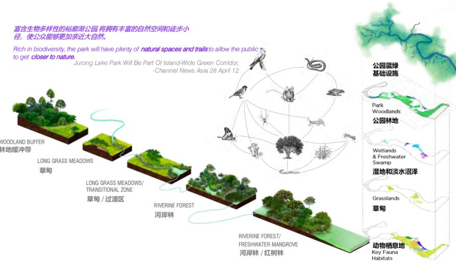 六分钟大片展望东莞cbd未来蓝图,万千期待