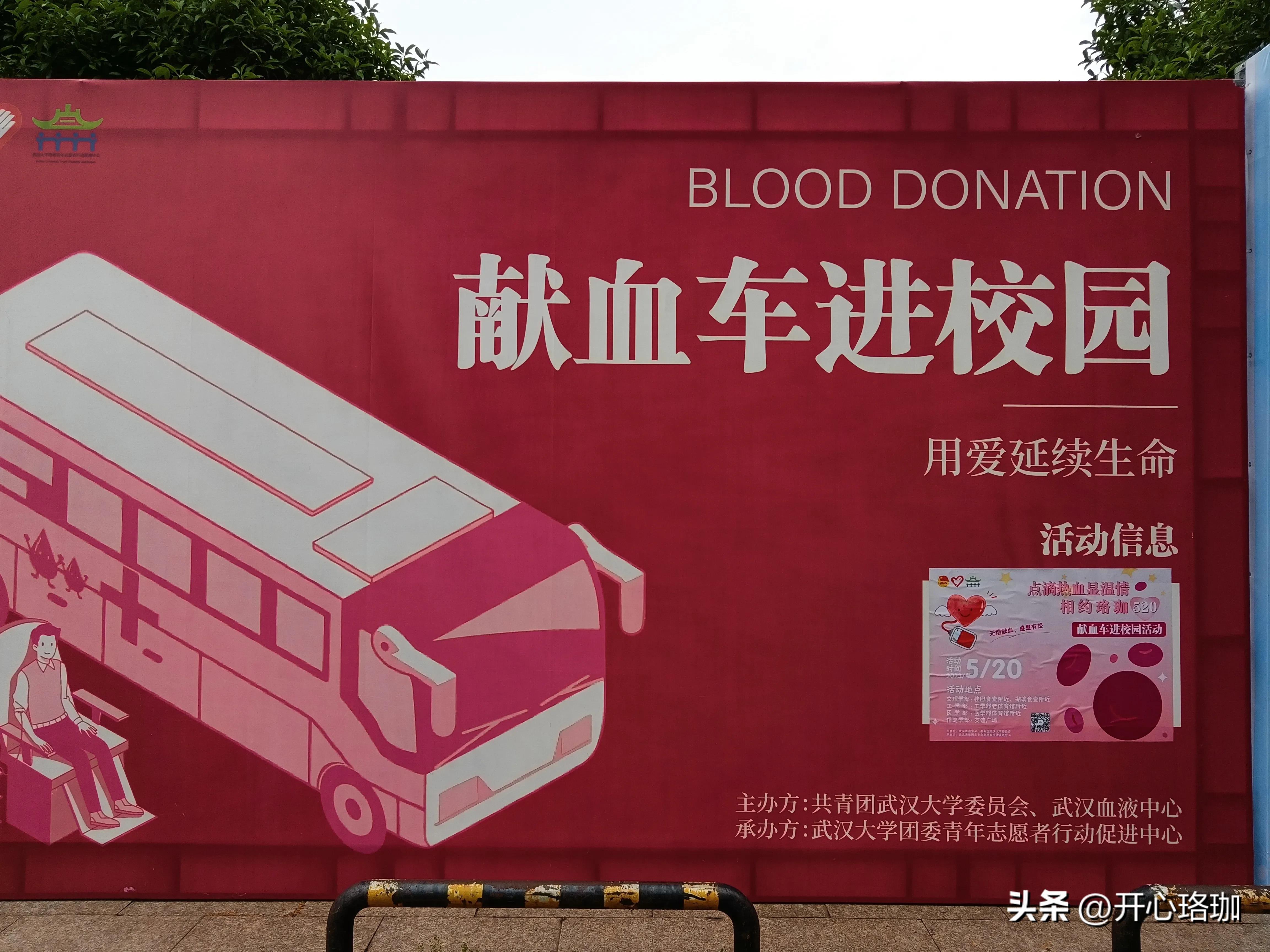 武汉大学暑假活动,武汉大学学生活动