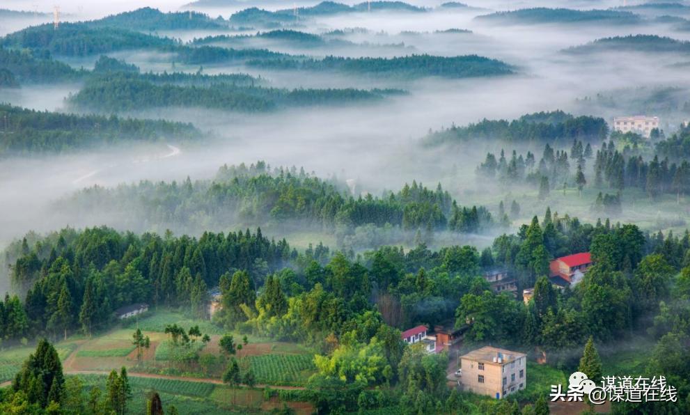苏马荡景观,苏马荡风景区别墅
