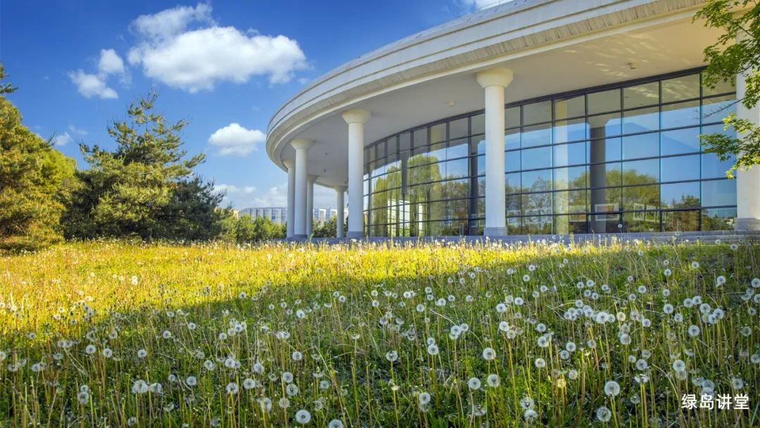 沈阳城市学院报考条件,沈阳城市学院2024年招生简章