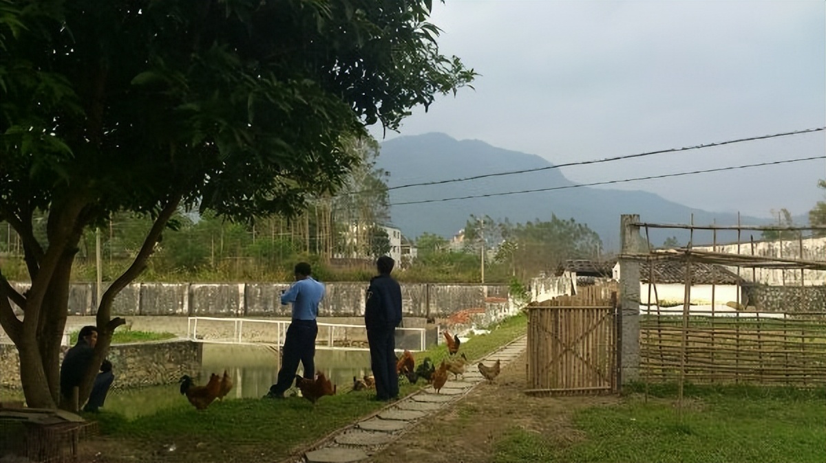 海关属于什么单位,广东海关公务员报考条件