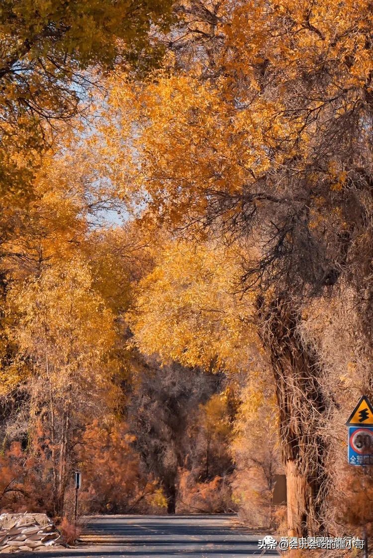 6天游南疆攻略,南疆旅游攻略七日游跟团