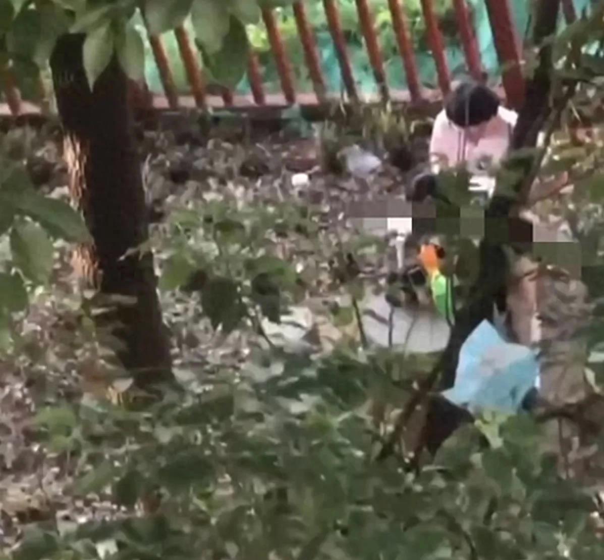 辽宁理工事件后续,辽宁理工学院事件