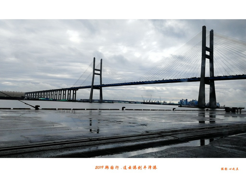 韩国行中国行,韩国行旅行团