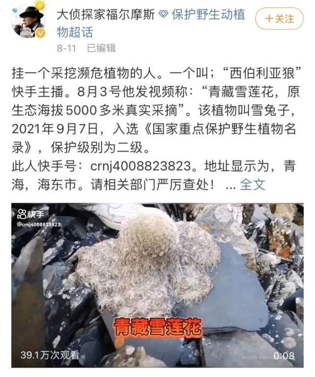 为博眼球三观尽毁的网红主播,别把无知当幽默下一句