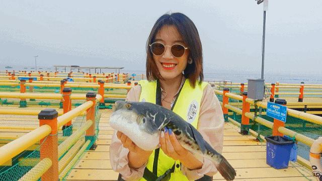 海边城市吃海鲜推荐,海边适合吃海鲜的小众城市