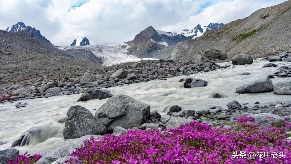 投资复盘的4点思路,把握成长和周期兼顾的投资机会