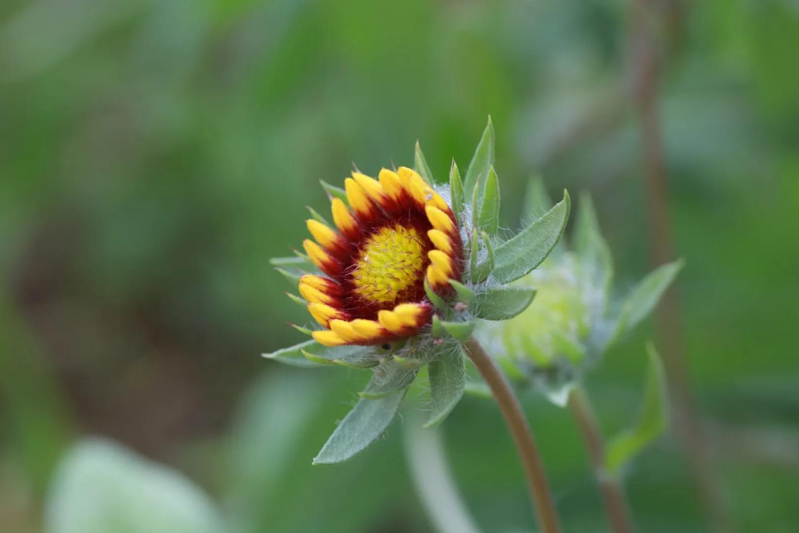 工作群的人怎么管理,在一个工作群里如何合理管理