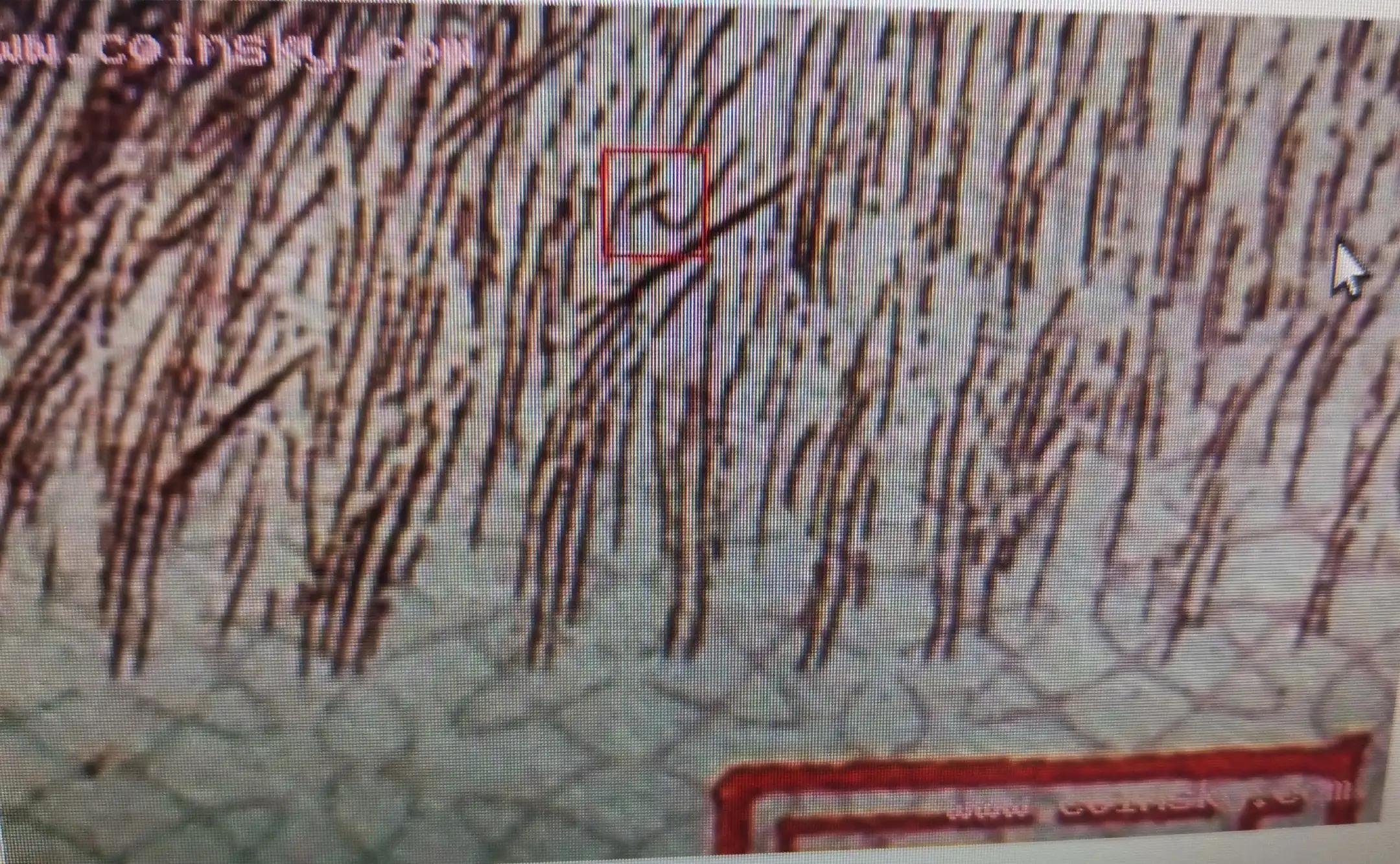 第三套人民币没暗记就是假的吗,第三套人民币假币有防伪暗记