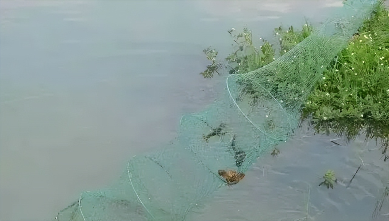 一个关于都市农业的思考：颠覆思维比颠覆技术更重要！