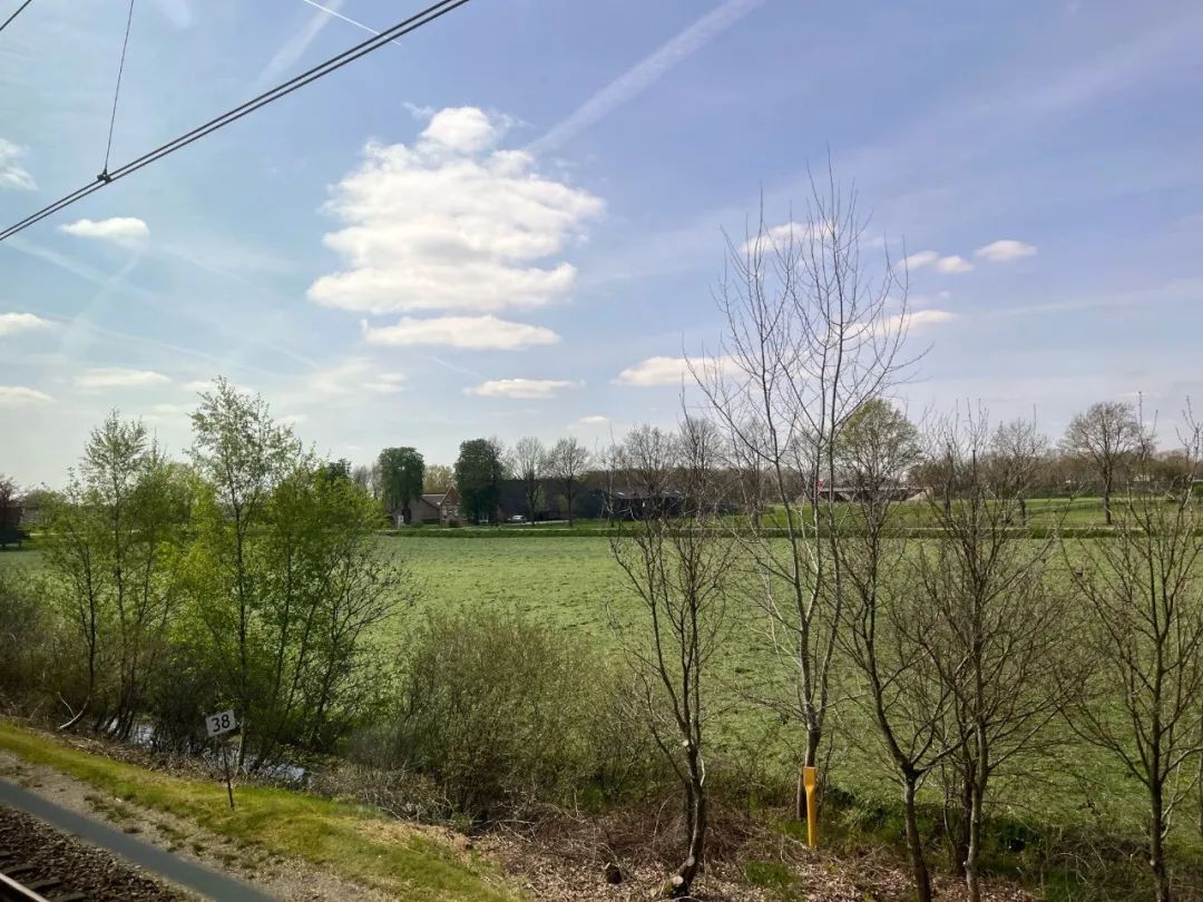 从阿联酋到荷兰：离异女再遇爱情，投资中餐厅，资产翻倍