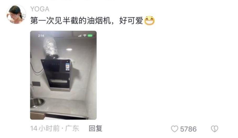 上海房东设计鬼才,上海房东真是设计界的天才